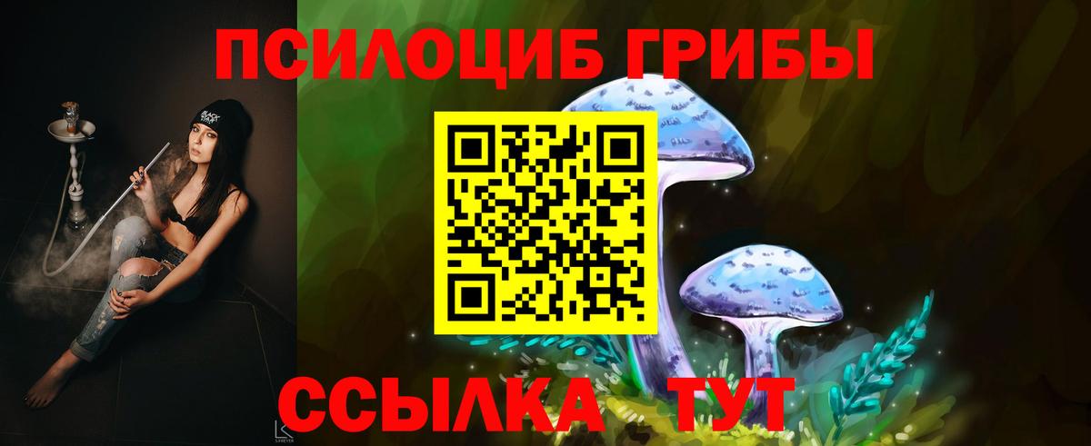 Галлюциногенные грибы GOLDEN TEACHER  Вход с VPN  Дзержинский 